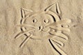 Kitten face on beach sand