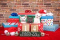 Kitten fourteen days til Christmas