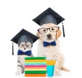 Kitten and Golden retriever puppy with black graduation hats and eyeglasses sitting together behind books. isolated on white Royalty Free Stock Photo