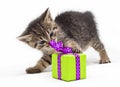 Kitten with green present