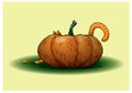 The kitten hides behind a pumpkin