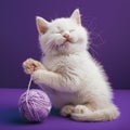 Kitten holding ball of wool Royalty Free Stock Photo
