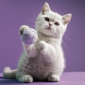 Kitten holding ball of wool Royalty Free Stock Photo