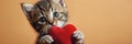 Kitten Holds Red Heart In Paws, Adorable Feline Captured With Symbol of Love