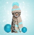 Kitten in knitted scarf and hat with christmas decorations Royalty Free Stock Photo