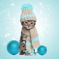 Kitten in knitted scarf and hat with christmas decorations