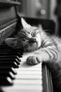 Kitten lays on piano keyboard with its head turned to one side and rests its paw by its face. Generative AI