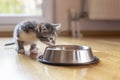 Kitten licking milk from a bowl