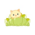 Cute cat and an oriental matcha green tea dessert