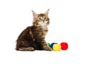 Kitten with multi-coloured balls of threads Royalty Free Stock Photo