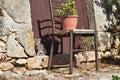 Kitten and an old chair