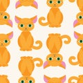 Kitten pattern