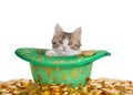 Kitten peaking out of a green St Patrick`s Day hat, Isolated Royalty Free Stock Photo