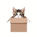 Kitten Peeking from Cardboard Box Flat Vector Art Royalty Free Stock Photo
