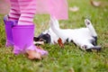 Kitten, playful and kid on grass in garden for bond, fun or development for curiosity. Girl, dress and pulling by cat Royalty Free Stock Photo