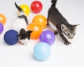 Kitten playing ball coloring Royalty Free Stock Photo