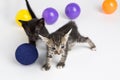 Kitten playing ball coloring Royalty Free Stock Photo