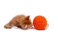 Kitten playing with ball of wool