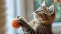 A kitten playing with a ball of yarn by the window, AI Royalty Free Stock Photo