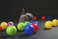 Kitten playing balls Royalty Free Stock Photo