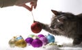 Kitten playing with Christmas ornaments Royalty Free Stock Photo