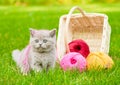 Kitten playing with clews of thread on green grass Royalty Free Stock Photo