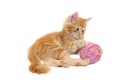 Kitten playing with pink wool ball Royalty Free Stock Photo