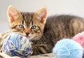 Kitten playing with tangles of yarn close up. Royalty Free Stock Photo