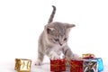 The kitten plays with gifts