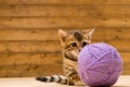 A kitten plays with a large tangle of threads, on a wooden floor