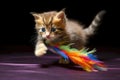 kitten pouncing on a colorful feather toy