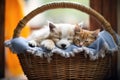 kitten and puppy asleep, entwined in a cozy basket