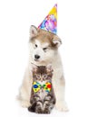 Kitten and puppy in birthday hat looking at camera together. isolated Royalty Free Stock Photo