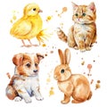 kitten, puppy, dog, chicken and bunny, isolated white background, cute little animal, Hand-drawn watercolor illustration