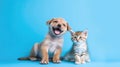 Kitten And Puppy Licking Happy Cute On Blue Background. Generative AI
