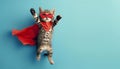 A kitten in a red mask and cloak jumps and soars on a blue background. Supercat Royalty Free Stock Photo