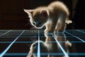 kitten reflected on a shiny surface with ethereal blue grid lines