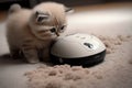 kitten riding robotic vacuum cleaner, chasing after dust bunnies Royalty Free Stock Photo