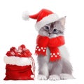 Kitten in Santa Claus costume with a bag of gifts Royalty Free Stock Photo