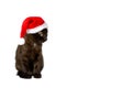 Kitten Santa Claus hat copyspace Royalty Free Stock Photo