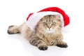 Kitten in Santa Claus xmas red hat on white background. Royalty Free Stock Photo