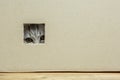 kitten sitting in a cardboard box, looks through a hole Royalty Free Stock Photo