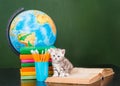 Kitten sitting on open book near empty green chalkboard