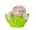 Kitten sleep in green basket. isolated on white background Royalty Free Stock Photo