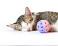 Kitten sleeping with ball