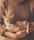 Kitten sleeping on hands Royalty Free Stock Photo