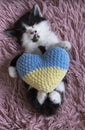 kitten sleeps lying on his back on pink soft pillow. Holds yellow-blue knitted heart Royalty Free Stock Photo