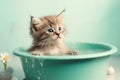 Kitten in a small basin of soapy water. Bathing a cat. Taking care of pets. Generative AI Royalty Free Stock Photo