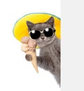 Kitten in sunglasses and hat holding ice cream and peeking from behind empty board. isolated on white background Royalty Free Stock Photo