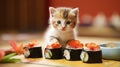 Kitten and sushi on the table in the restaurant.